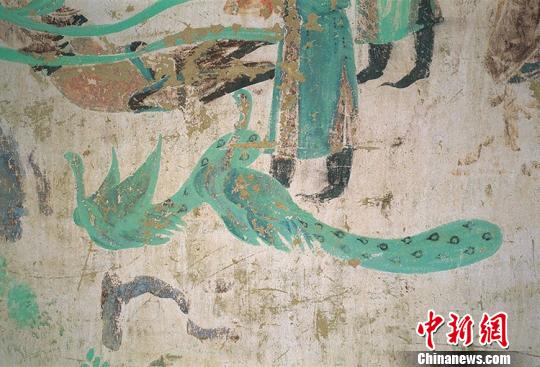 敦煌石窟里的丝路“动物世界”：万物有情 善待生命