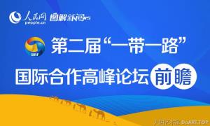 习近平分别会见出席第二届“一带一路”国际合作高峰论坛的部分国家领导人和国际组织负责人