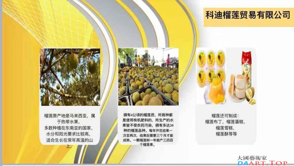 2019年的神话蚂蚁通证ANT联手榴莲微视进军资本市场怎么赚钱