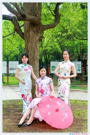 女人本色之《优雅女人》