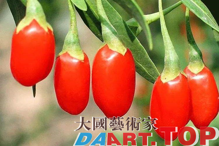 中药也在找搭档 有点意思写的真好！ 