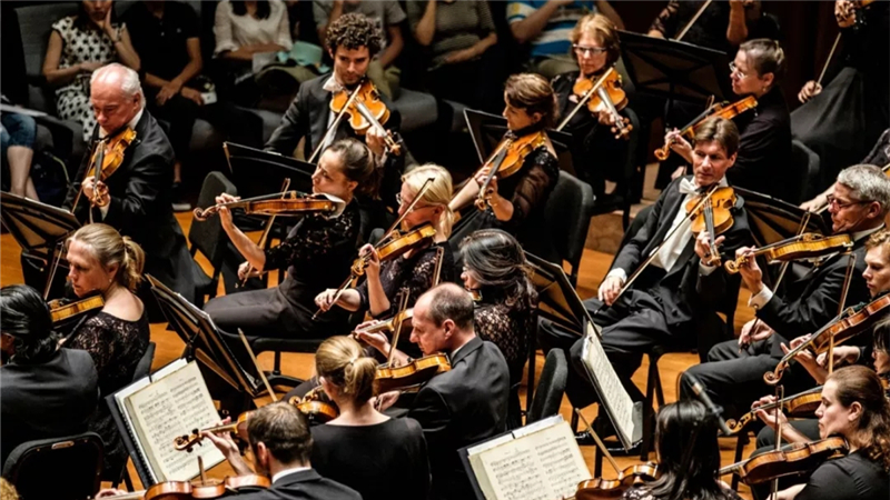 年仅30岁的梅塔大师接班人，原来是他！拉哈夫·沙尼