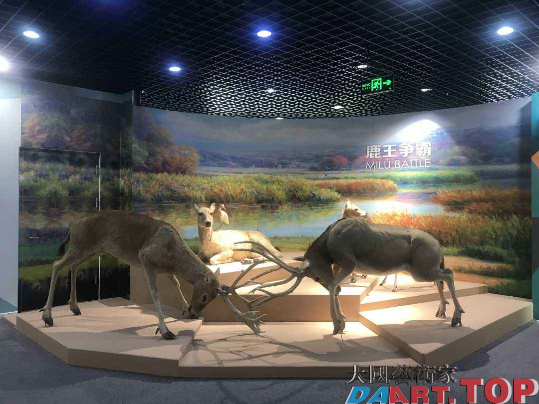 麋鹿的前世今生——第二届北京(国际)麋鹿文化大会在大兴举办