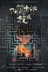 《献给阿尔吉侬的花束》改编音乐剧中文版