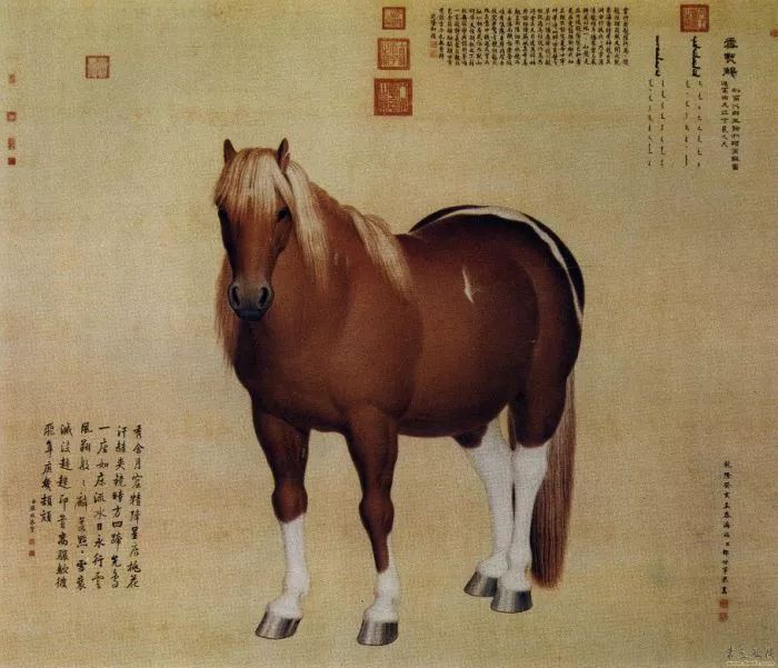 大国艺术家｜经典欣赏：郎世宁作品高清全集